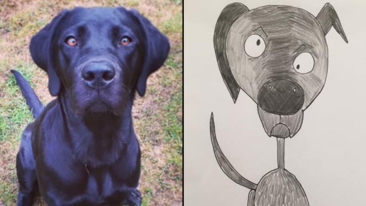 Phil Heckels shot to fame when he shared his rendition of the family dog, Narla, on Facebook.