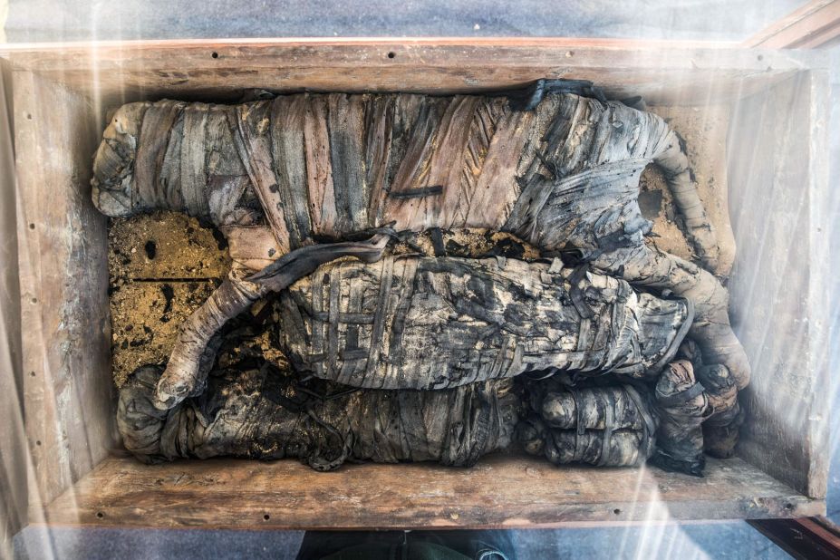 This mummy of a cat was displayed in Saqqara necropolis in November 2019.