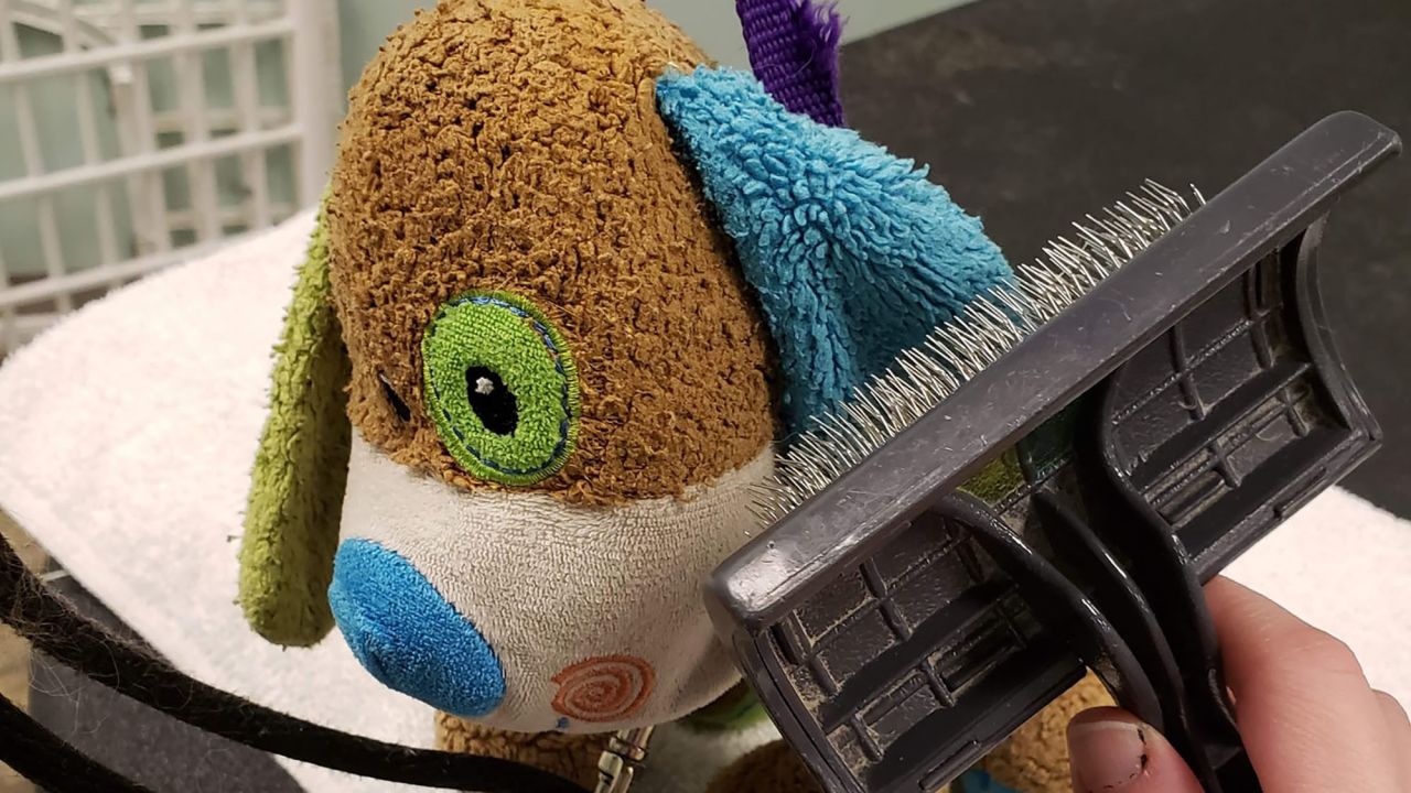 02 Lost stuffed puppy trnd