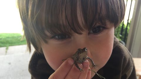 Noah's mom says, "He loves all the small creatures that he finds and worries that the snakes might get hungry but can't bear the thought of the frogs getting eaten."