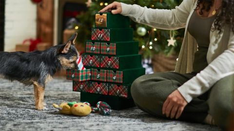 Frisco Holiday 12 Days of Christmas Advent Calendar