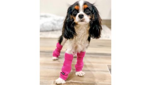 FetchDogFashions Dog Leg Warmers, Pair of 2