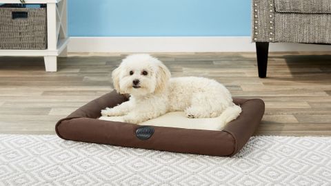 K&H Pet Products Deluxe Lectro-Soft Outdoor Heated Bolster Cat & Dog Bed