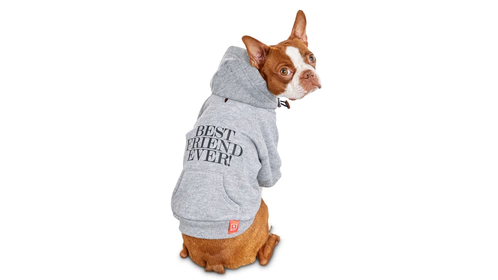 XS, Gray Pet Clothing Clothes Dog Coat Hoodies Winter Autumn Sweatshirt for Small Middle Large Size Dogs 11 Colors 100% Cotton 2018 New