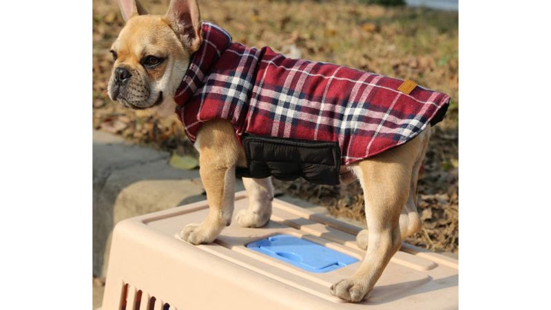 petsmart winter dog coats