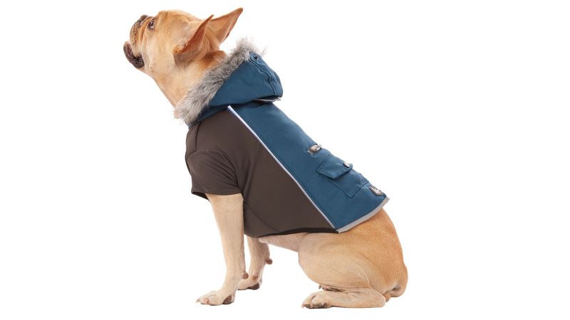 arcadia trail flotation dog coat