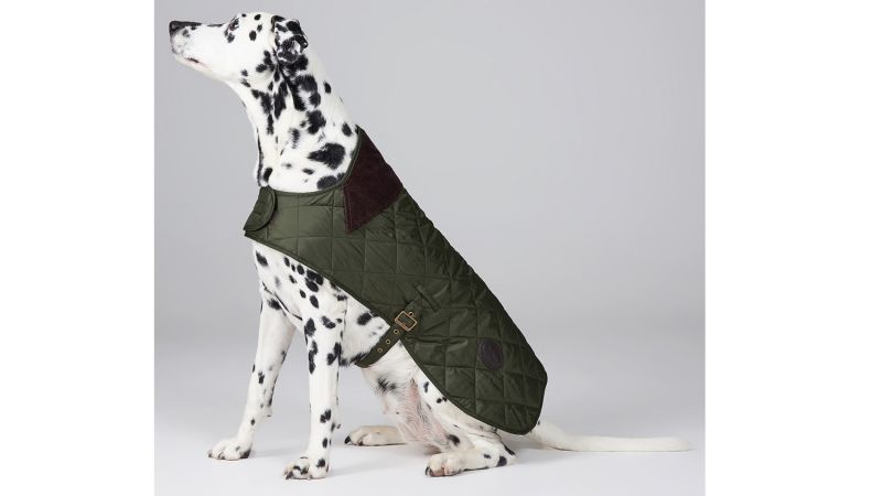 purple barbour dog coat