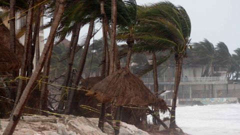 Winds from Hurricane Zeta blow palm trees Tuesday in Playa del Carmen, Mexico.