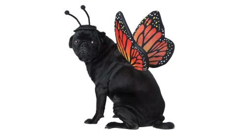 California Costumes Monarch Butterfly Pet Costume