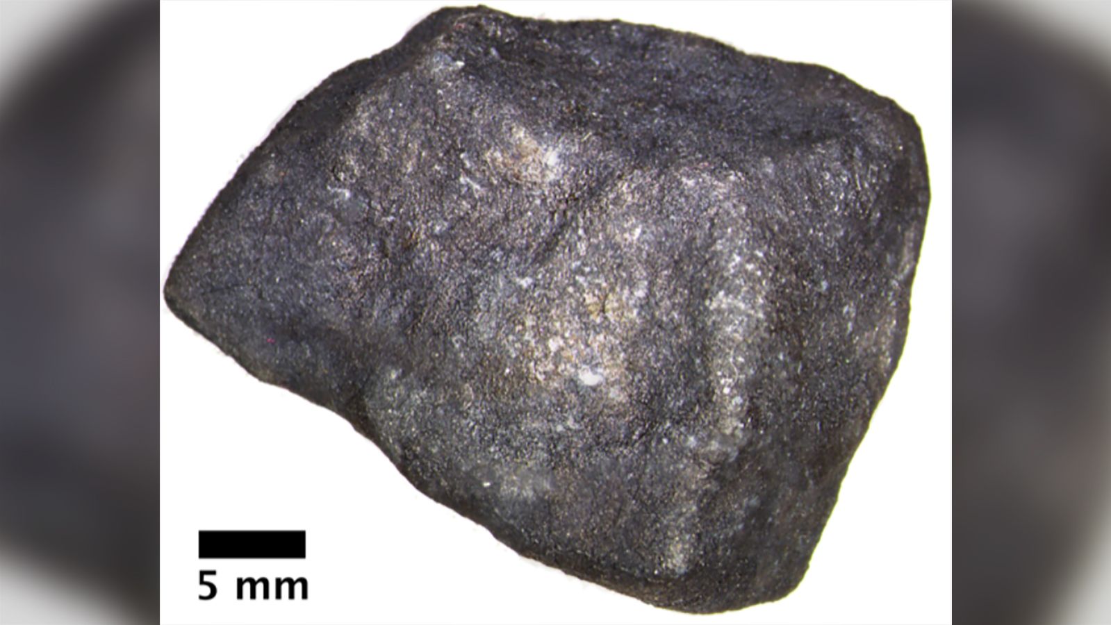 The meteorite fragment that fell on Strawberry Lake includes pristine organic compounds.