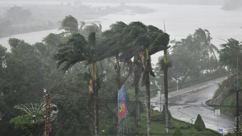 Strong winds batter coconut trees in central Vietnam on Wednesday.