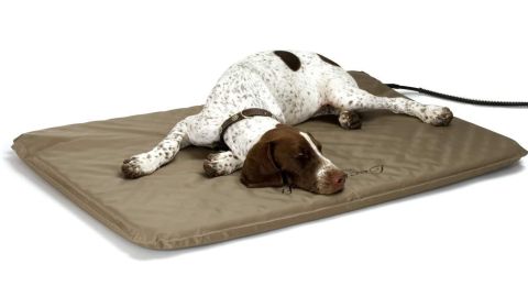 K&H Pet Lectro Soft Heated Dog Bed