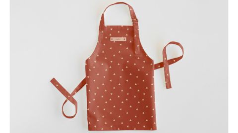 Minted Family Aprons