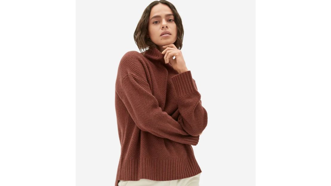 Everlane Oversized Stroopwafel Turtleneck in ReCashmere