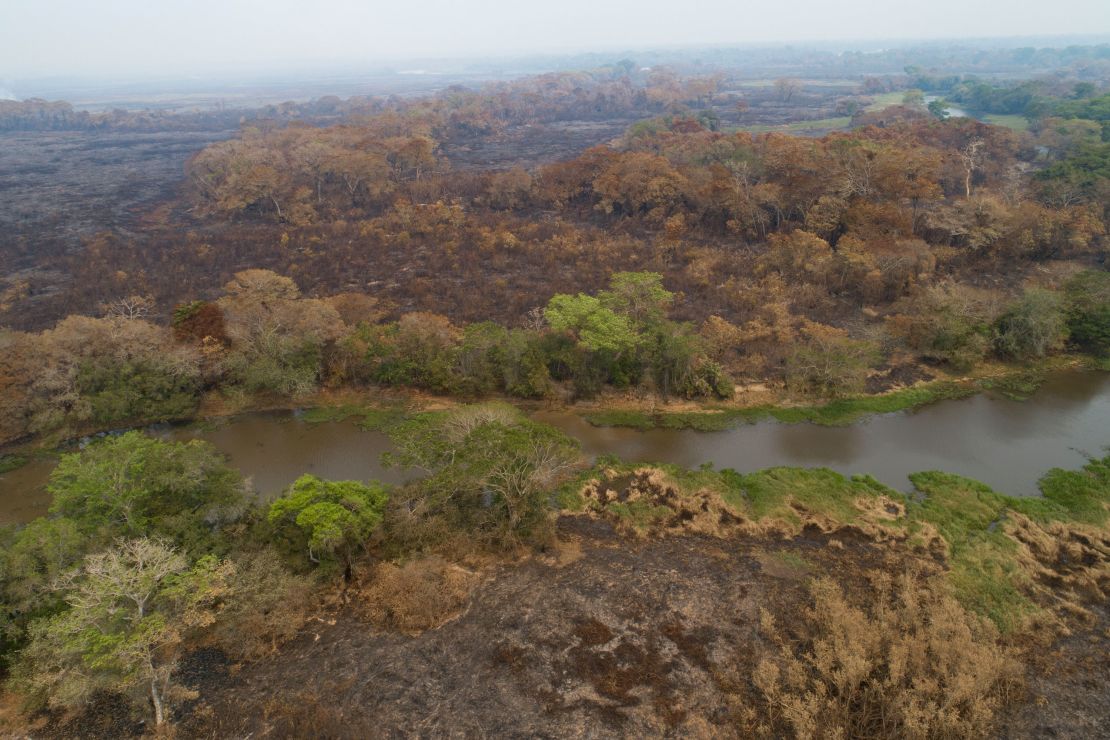 A recently-burned area of the Encontro das Aguas park in the Pantanal wetlands, pictured on September 12, 2020. 
