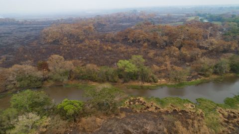 A recently-burned area of the Encontro das Aguas park in the Pantanal wetlands, pictured on September 12, 2020. 