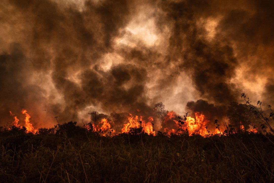 Out of control forest fire burns the area of the Brazilian Pantanal in rural Mato Grosso.