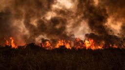 Out of control forest fire burns in the Pantanal in rural Mato Grosso, Brazil, on August 19, 2020.