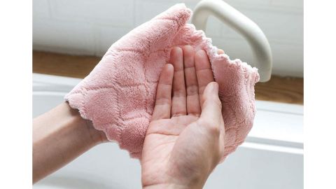 Kimteny Coral Velvet Dish Towels 