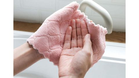 Kimteny Coral Velvet Dish Towels