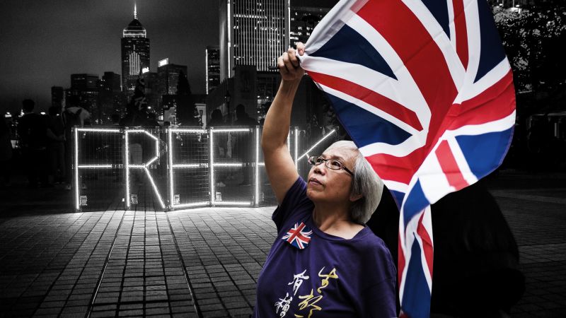 Grandma Wong was a key figure in Hong Kong's protest