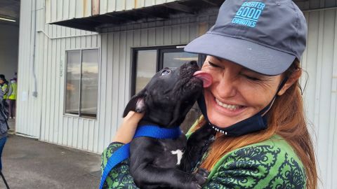 Liz Baker, CEO of Greater Good Charities, with her newly adopted dog Hilo.