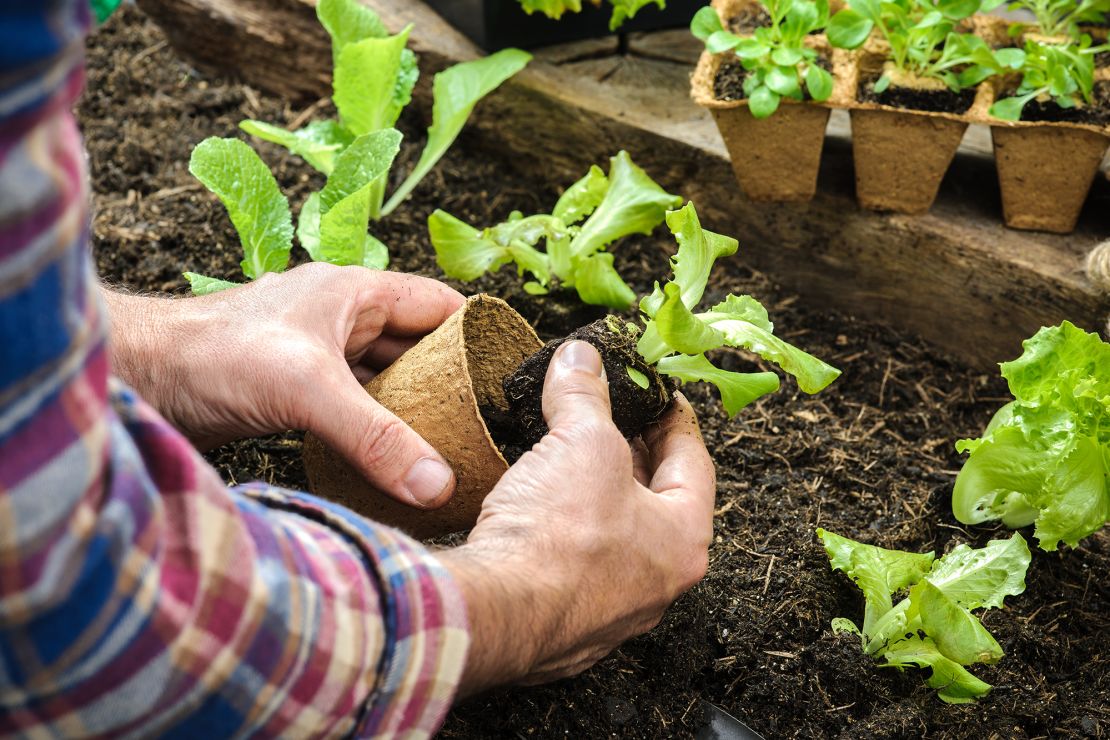 Connect with nature to feel relaxed and grounded.