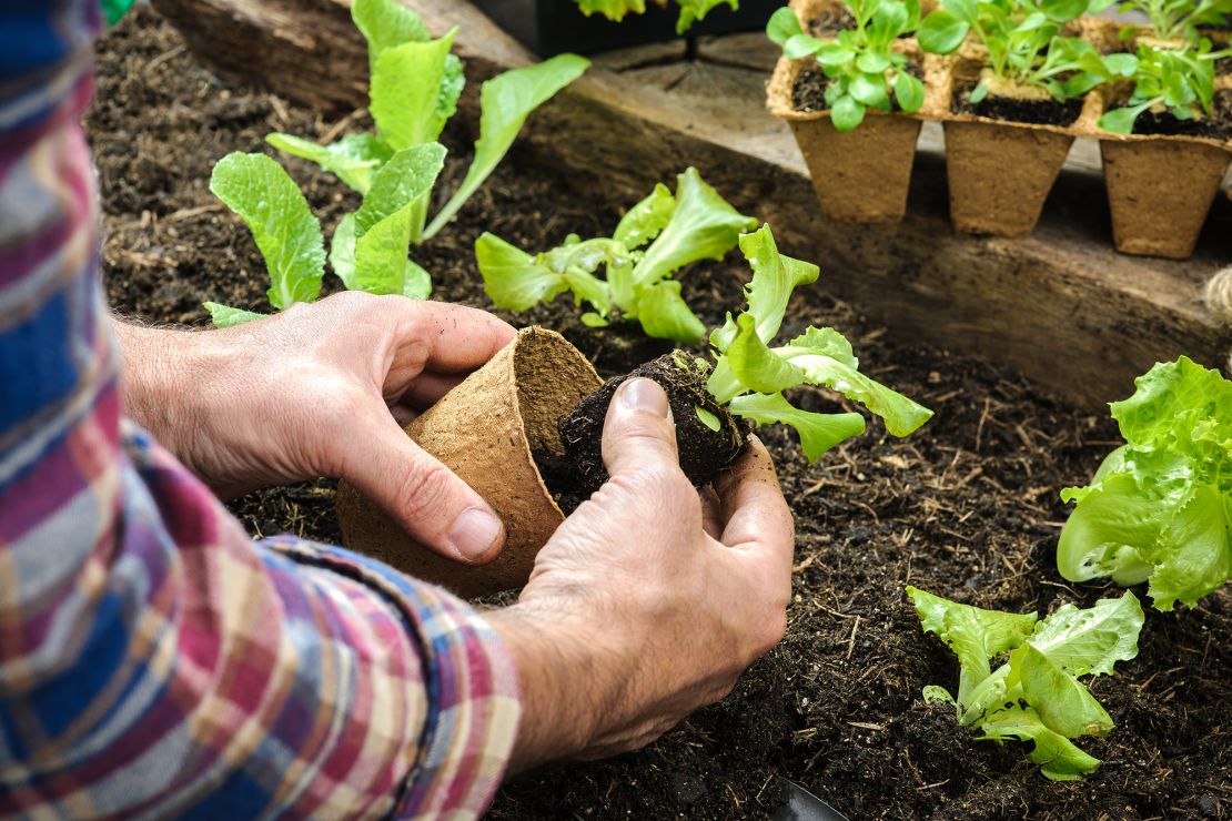 Connect with nature to feel relaxed and grounded. 