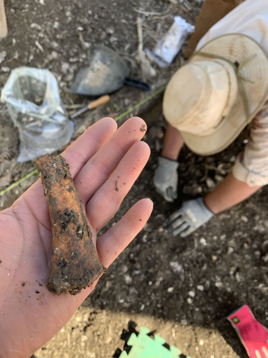 Archaeologists plan to share discovered artifacts with the public. 