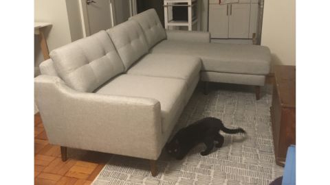 The Burrow couch when I first received it 
