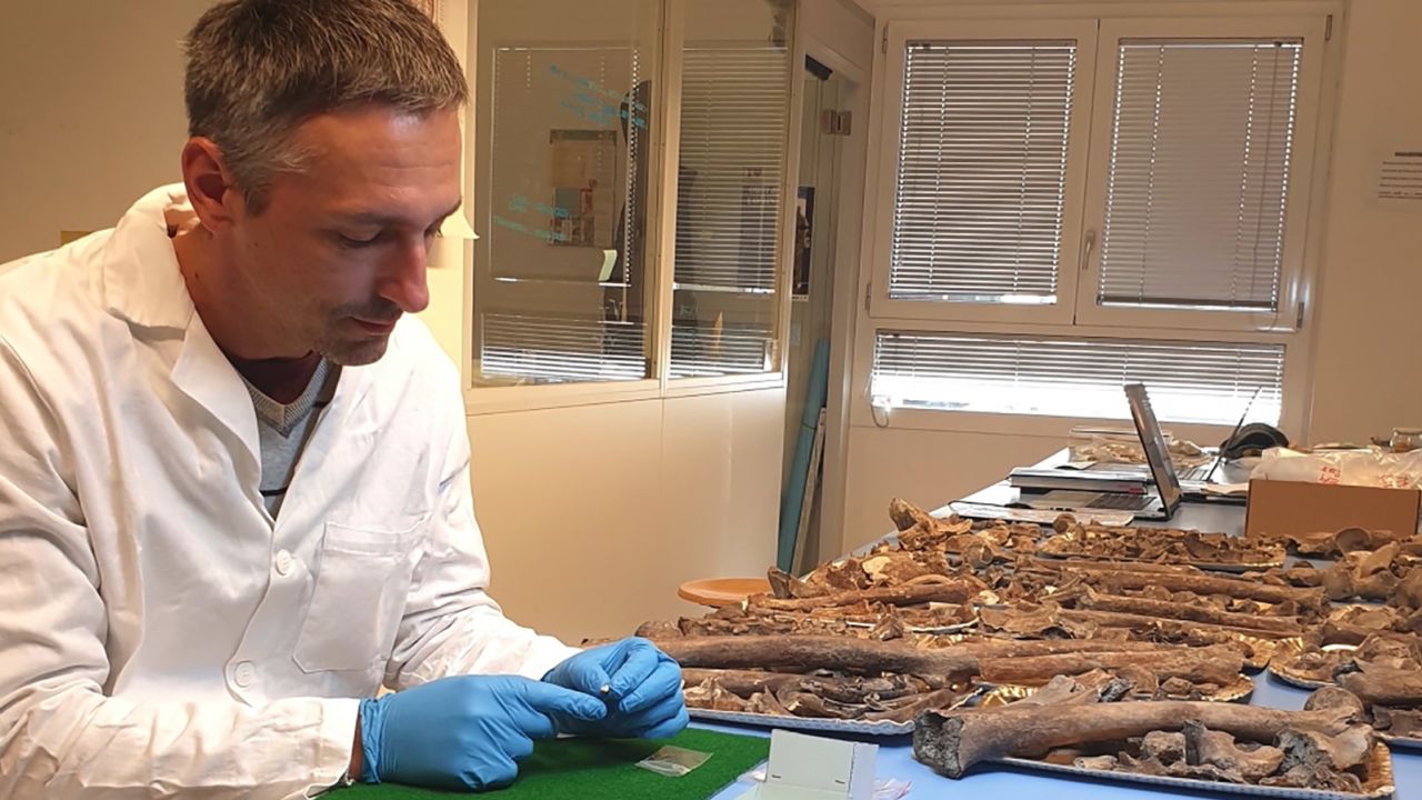 Co-senior study author Stefano Benazzi, a professor at the University of Bologna, is shown here studying Neanderthal remains. 