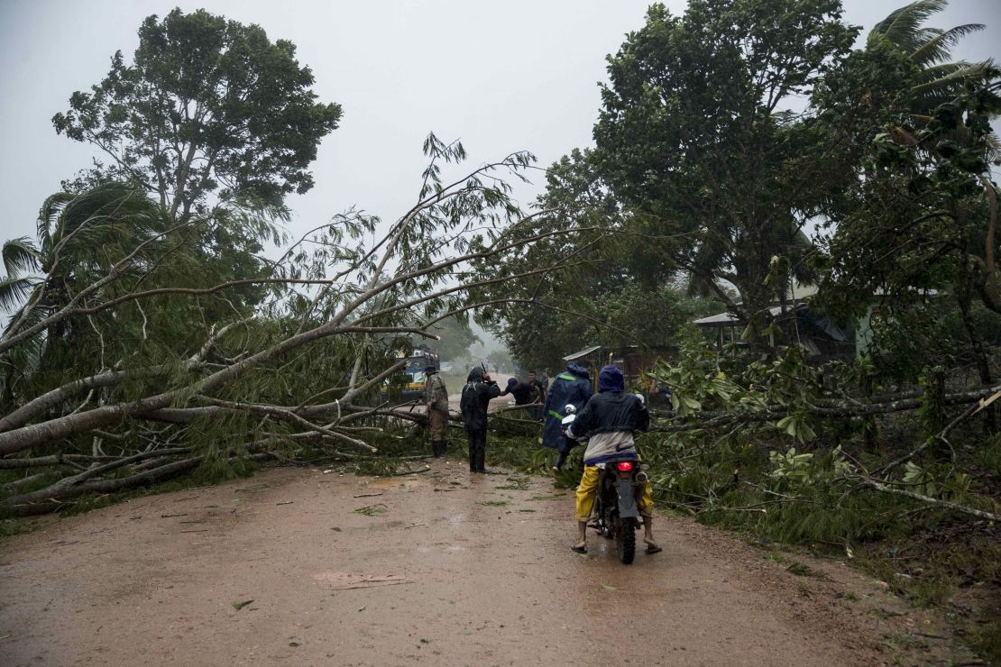 Trees downed near the city of Puerto Cabezas by Hurricane Eta.