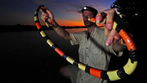 Zoltan Takacs holds up an Amazon coral snake. Proteins from the venom of snakes and other animals are being used to develop drug therapies.