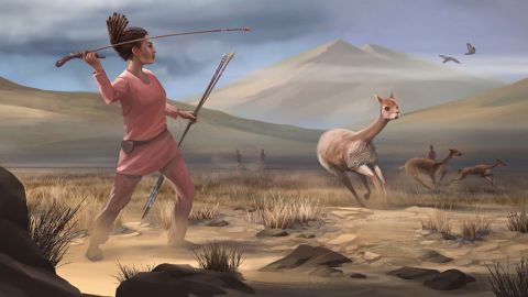 An illustration of a female hunter who may have killed big-game animals in the Andes 9,000 years ago.