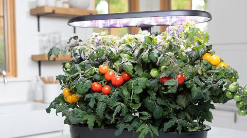 Aerogarden Bounty