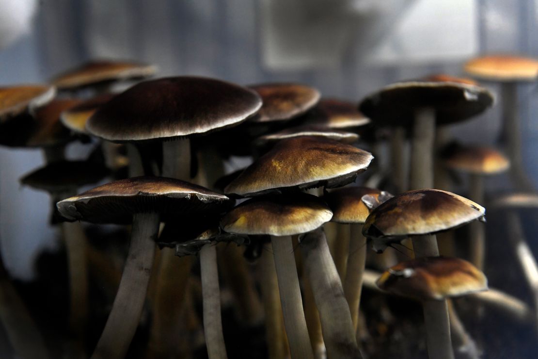 Magic Mushrooms: Psychedelic Mushrooms Explained