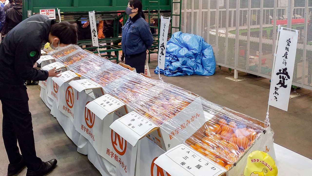 Ehime prefecture is famous for its sweet mandarin oranges and Nishiuwa is one of the biggest mandarin producing region in the prefecture.