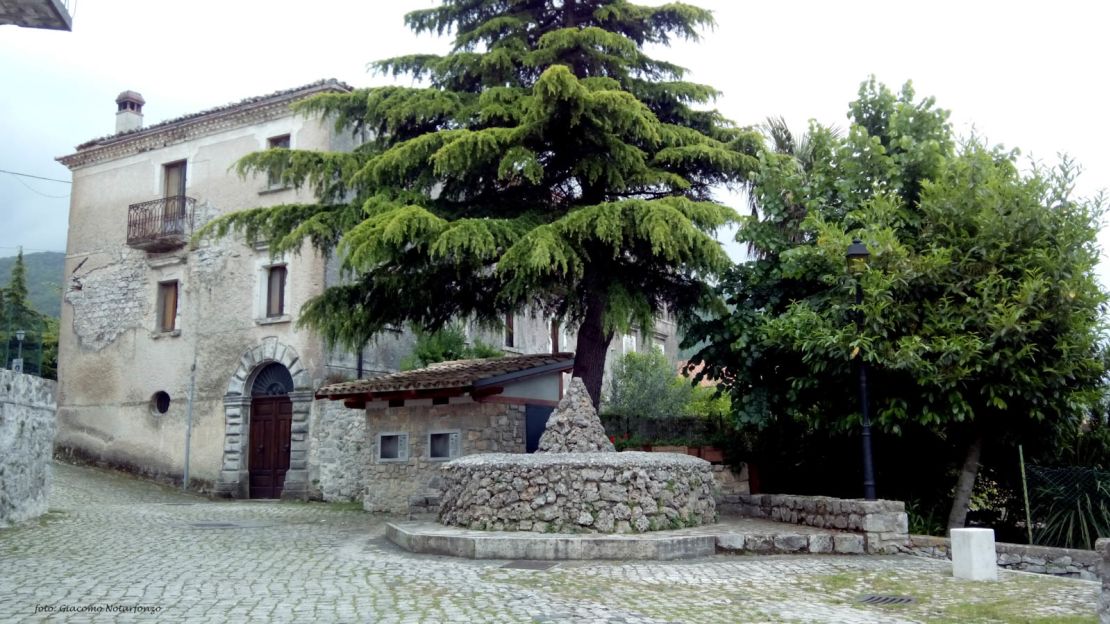 A giant elm tree connects the town with its past.