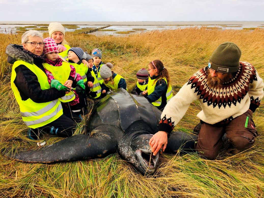 Children gather around a giant leatherback turtle they found on a seashore in southern Jutland, Denmark, on Tuesday, November 3.