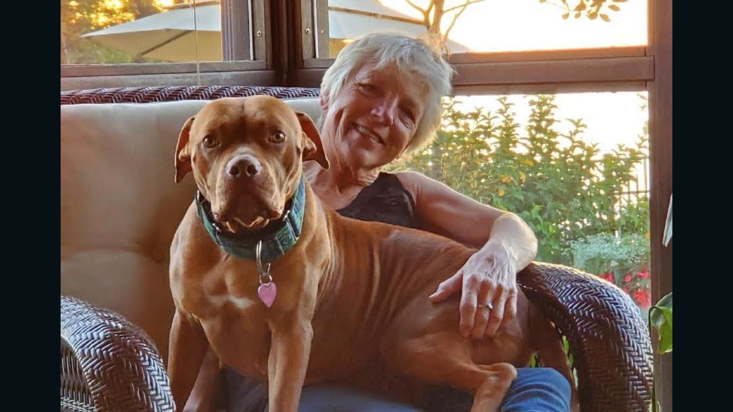 Joan Reidy adopted a 2-year-old dog from her local shelter and named her Babygirl.