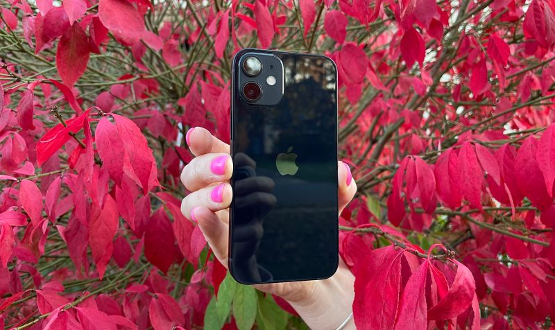 iPhone 12 Mini review: Tiny but mighty | CNN Underscored