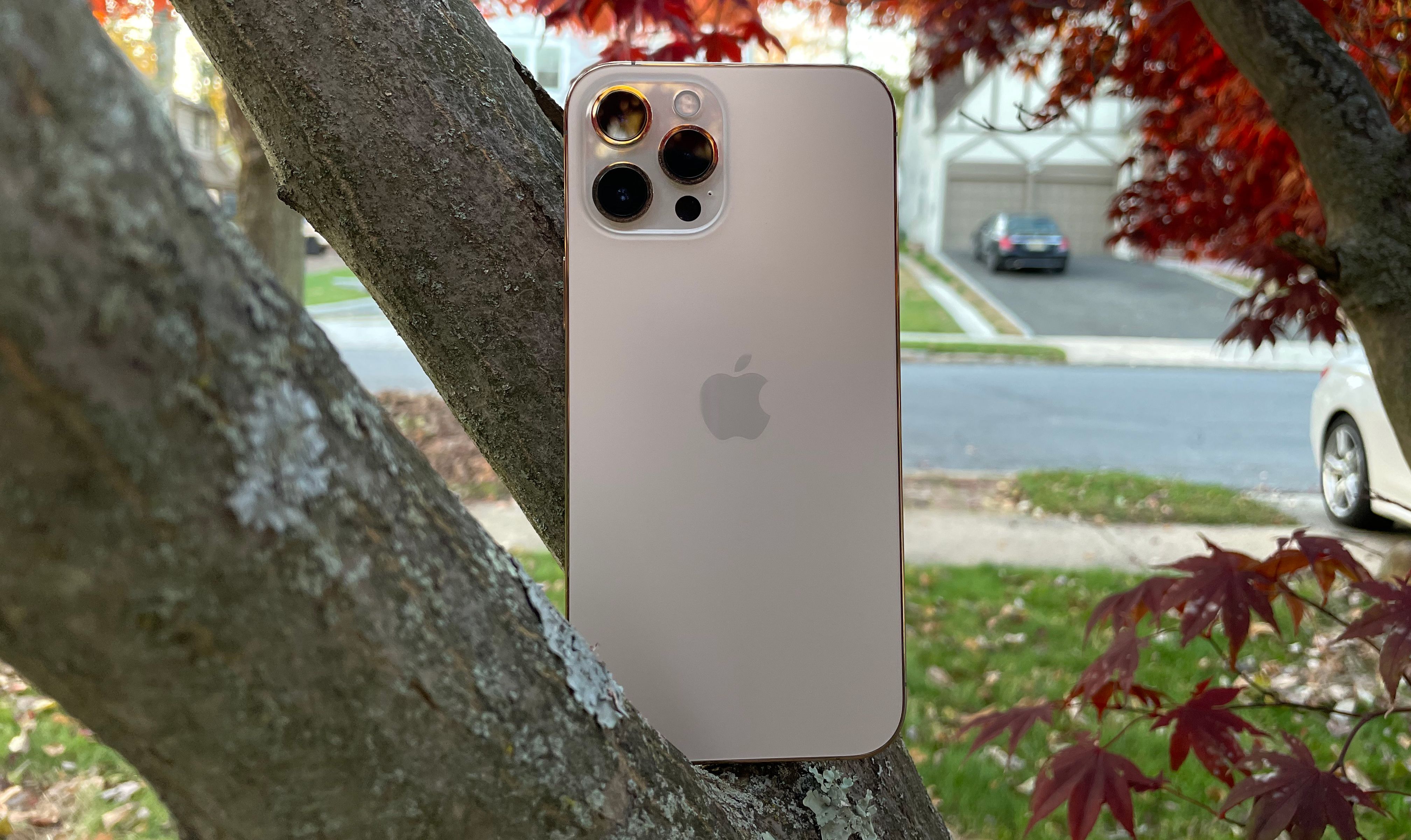 Apple iPhone 12 Pro Max Review: Amazing Camera, Massive Size