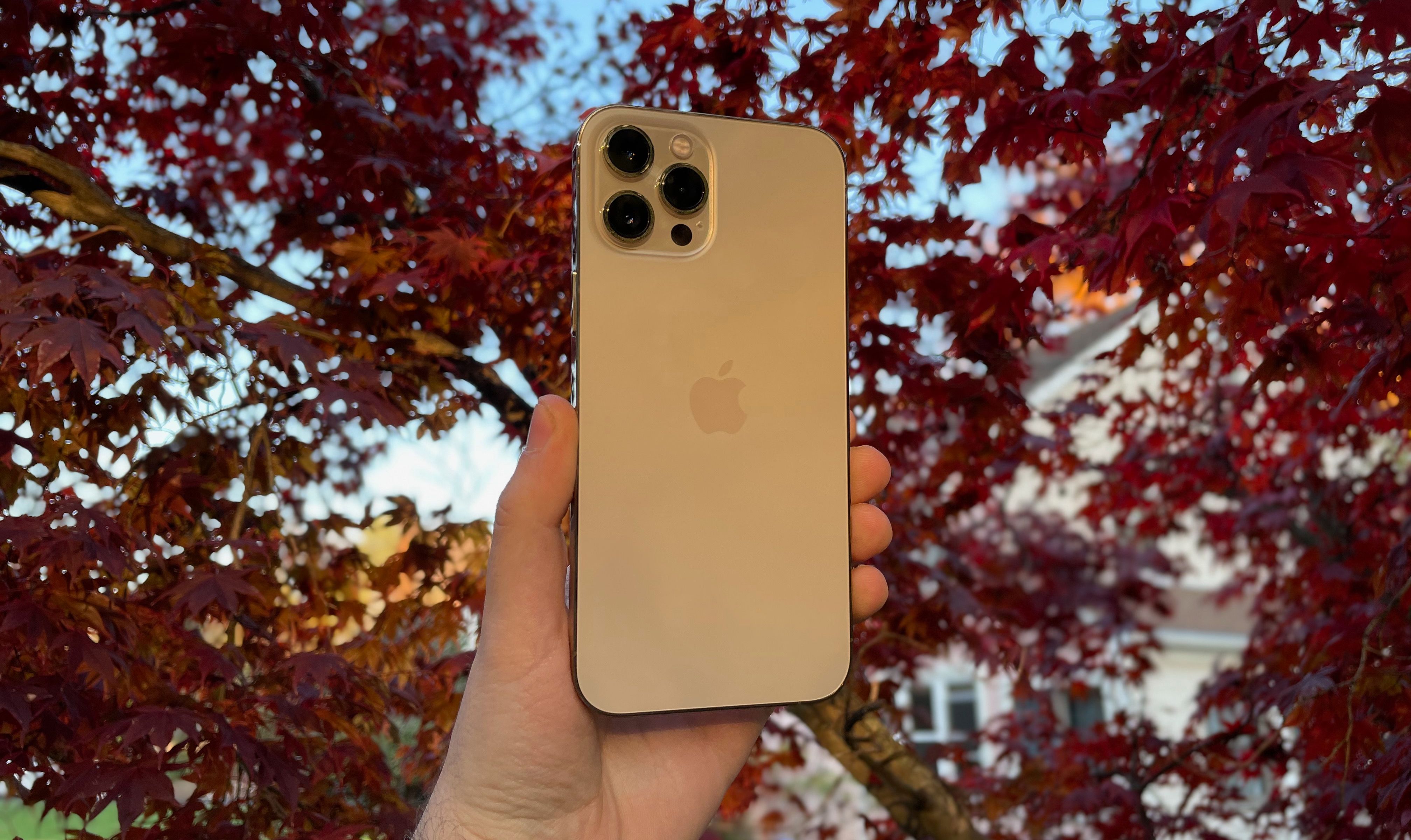 My iPhone 12 Pro Max Review! 