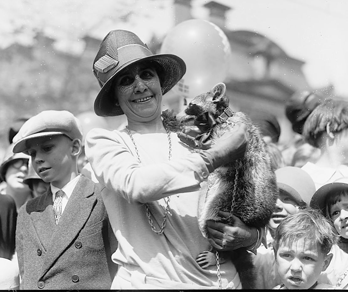 First lady Grace Coolidge is seen holding her pet raccoon, Rebecca, in 1927.