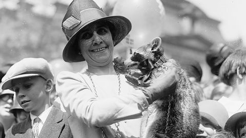 First lady Grace Coolidge is seen holding her pet raccoon, Rebecca, in 1927.