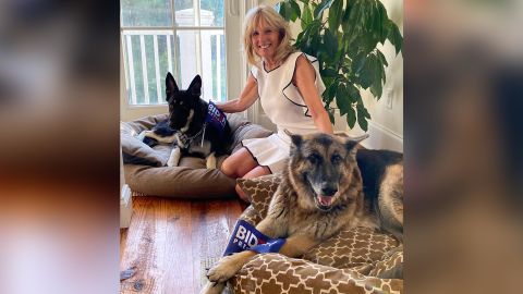Jill Biden tweeted a photo with Major and Champ in August 2020.