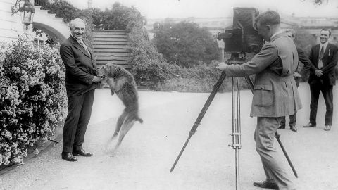 President Harding with pet dog Laddie, are photographed in front of the White House in June 1922.