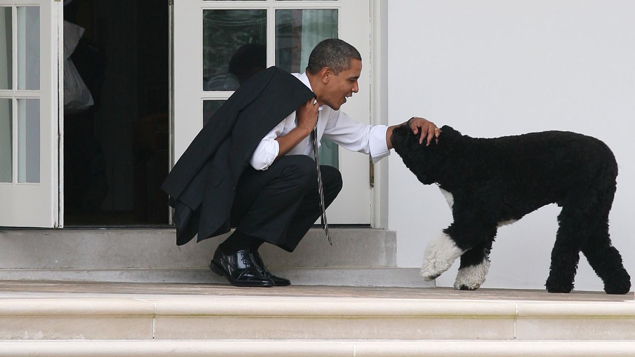 President Barack Obama pets his dog Bo outside the Oval Office of the White House in 2012.