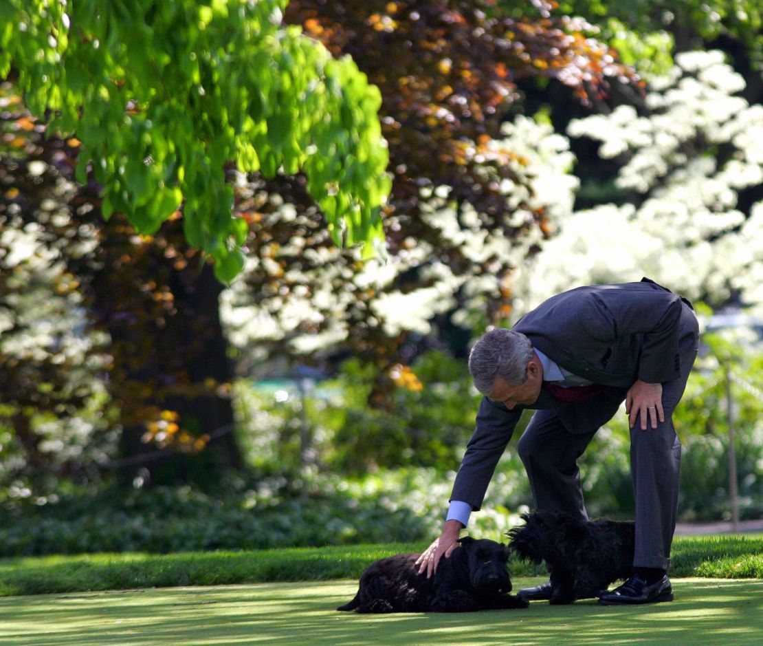 President George W. Bush plays with his pet dogs Barney and Mrs. Beazley on the South Lawn of the White House in 2005.