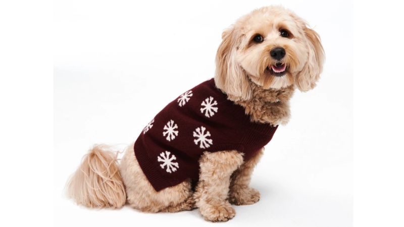 naadam dog sweater